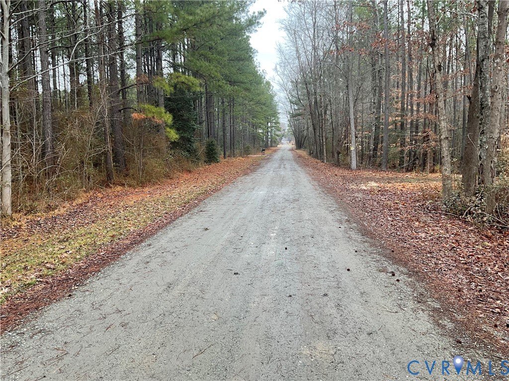 400 Elsassar Road King William, VA 23086 - Photo 29 of 31 a view of a backyard with trees