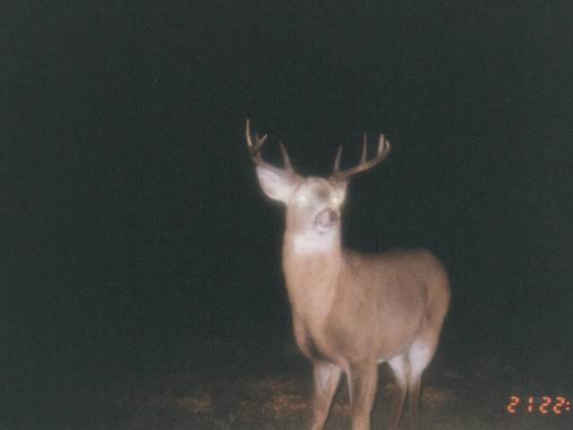 Off North Pelican Lake Road Rhinelander, WI 54501 - Photo 10 of 20 Gallery Image 10