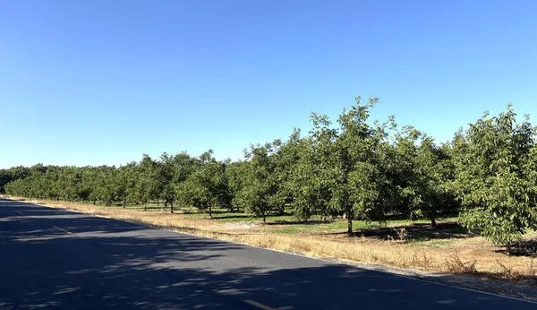 $840,000 | 5210 North Fine Road, Linden, CA 95236