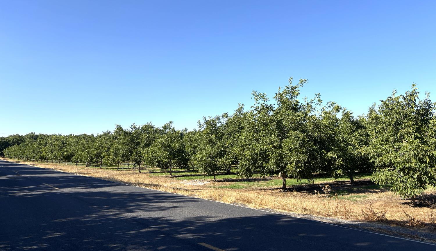 5210 North Fine Road Linden, CA 95236 - Photo 2 of 13 a view of a yard with an outdoor space