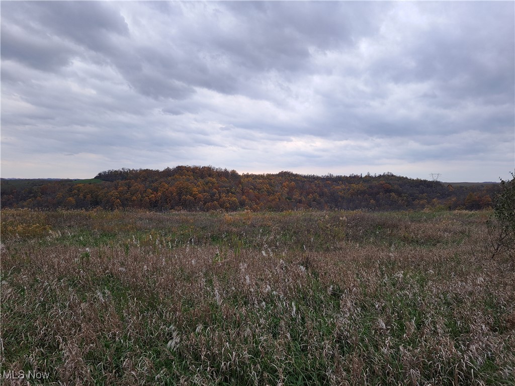 0 Winstead Road Quaker City, OH 43773 - Photo 6 of 16 View of flat land