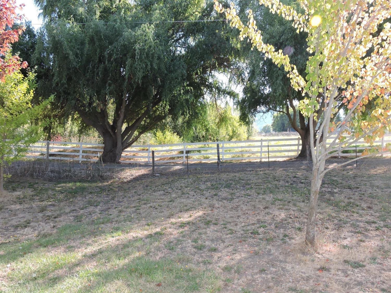 7233 Wagner Creek Road Talent, OR 97540 - Photo 16 of 27 a view of backyard with green space