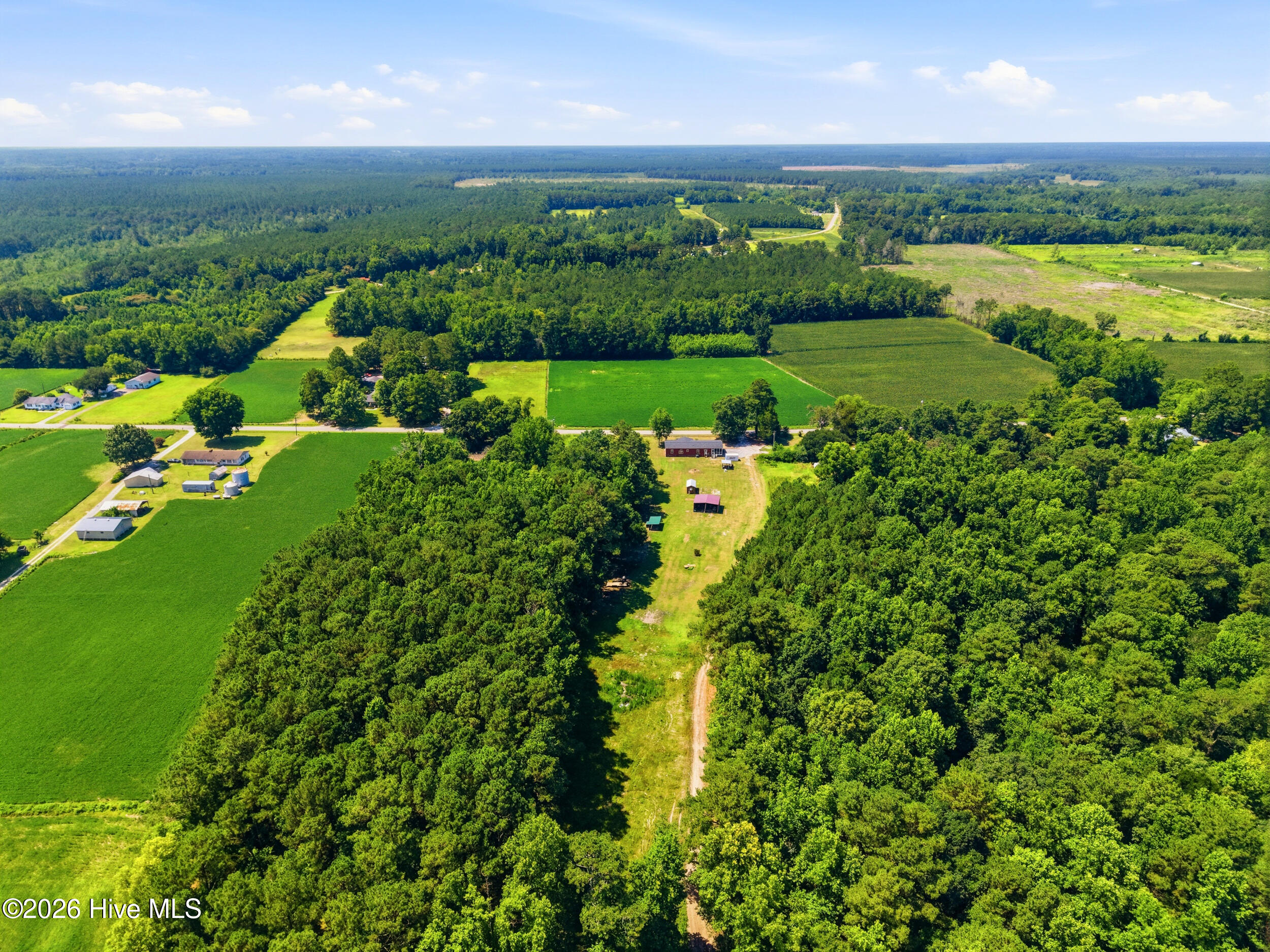 4040 Willard Road Willard, NC 28478 - Photo 58 of 66