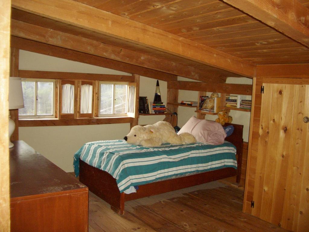3192 Bullfrog Hollow Road Wells, VT 05774 - Photo 15 of 33 Gallery Image 15