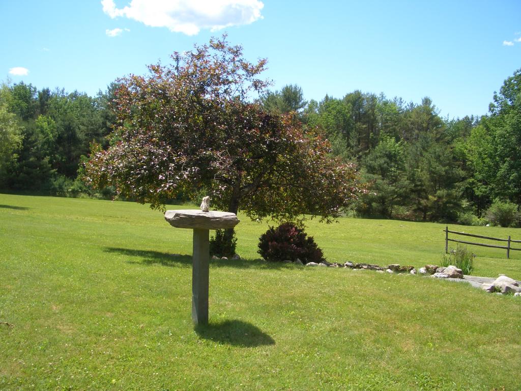 3192 Bullfrog Hollow Road Wells, VT 05774 - Photo 24 of 33 Gallery Image 24