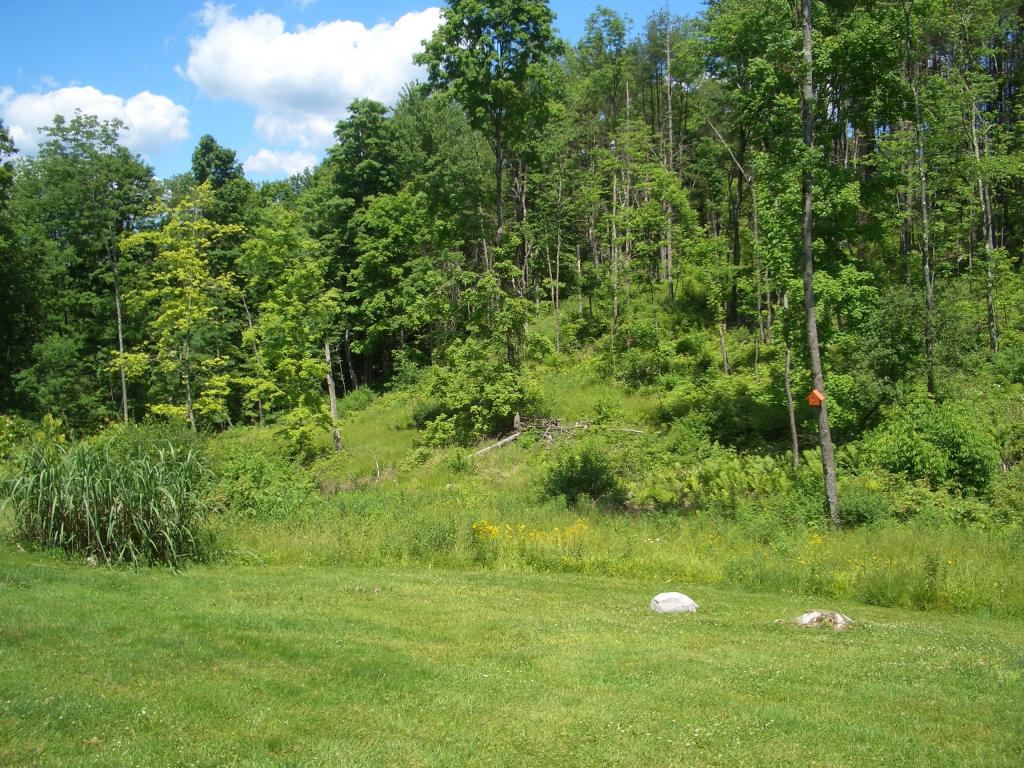 3192 Bullfrog Hollow Road Wells, VT 05774 - Photo 26 of 33 Gallery Image 26