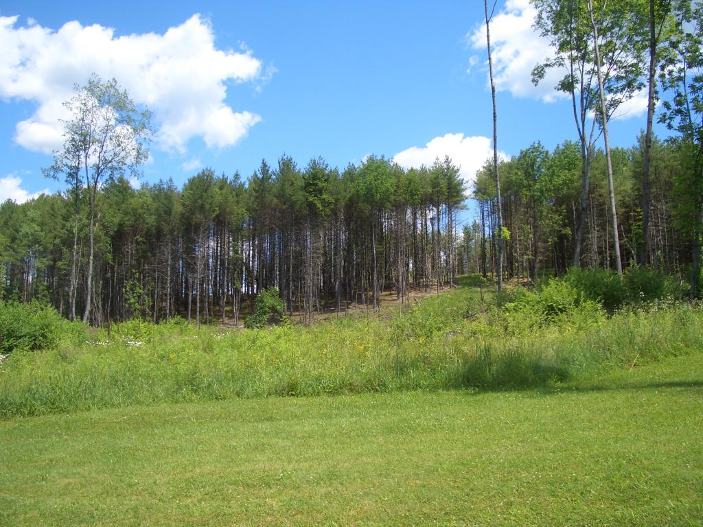 3192 Bullfrog Hollow Road Wells, VT 05774 - Photo 27 of 33 Gallery Image 27