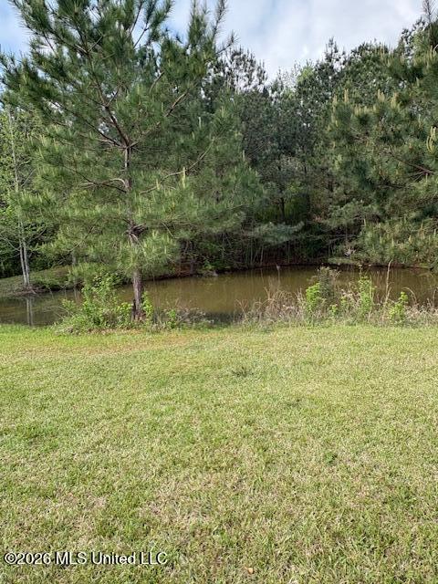 5702 Rollinson Road Liberty, MS 39645 - Photo 26 of 40 IMG_0115
