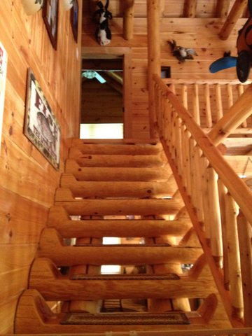 191 Swan Seymour Road Maynardville, TN 37807 - Photo 16 of 38 IMG_3348