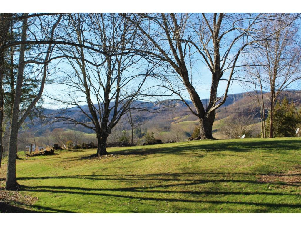 376 Sugar Run Road Jonesville, VA 24263 - Photo 8 of 36 Side yard