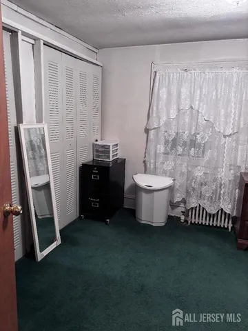 a living room with a couch and a potted plant