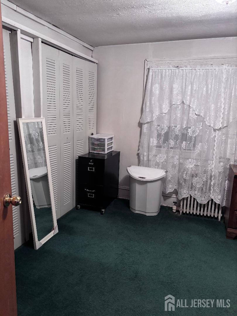 490 Mckeon Street Perth Amboy, NJ 08861 - Photo 18 of 28 a living room with a couch and a potted plant