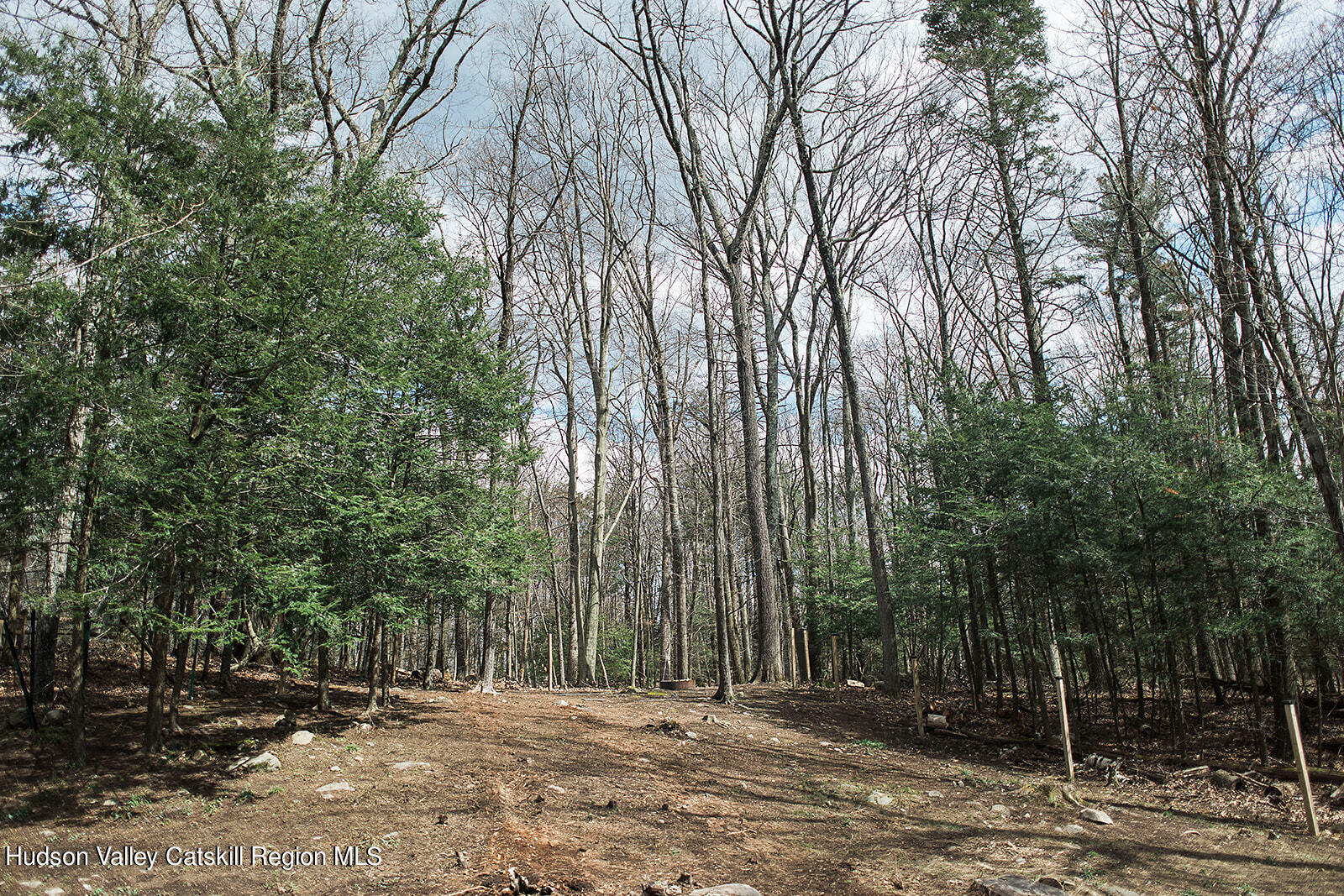 35 Cottekill Estates Road Cottekill, NY 12419 - Photo 17 of 19 Woods