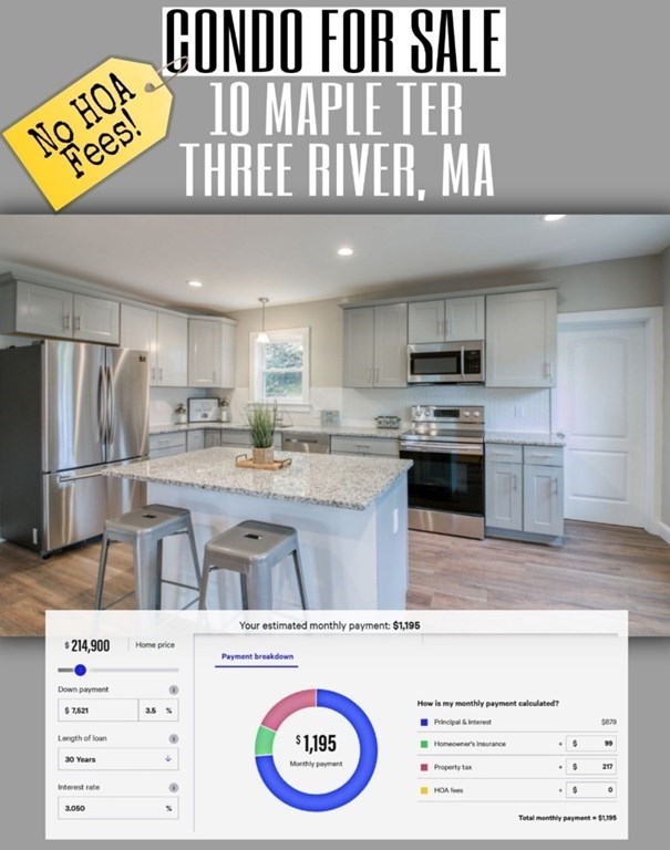10 Maple Terrace, Unit 10 Three Rivers, MA 01080 - Photo 1 of 20