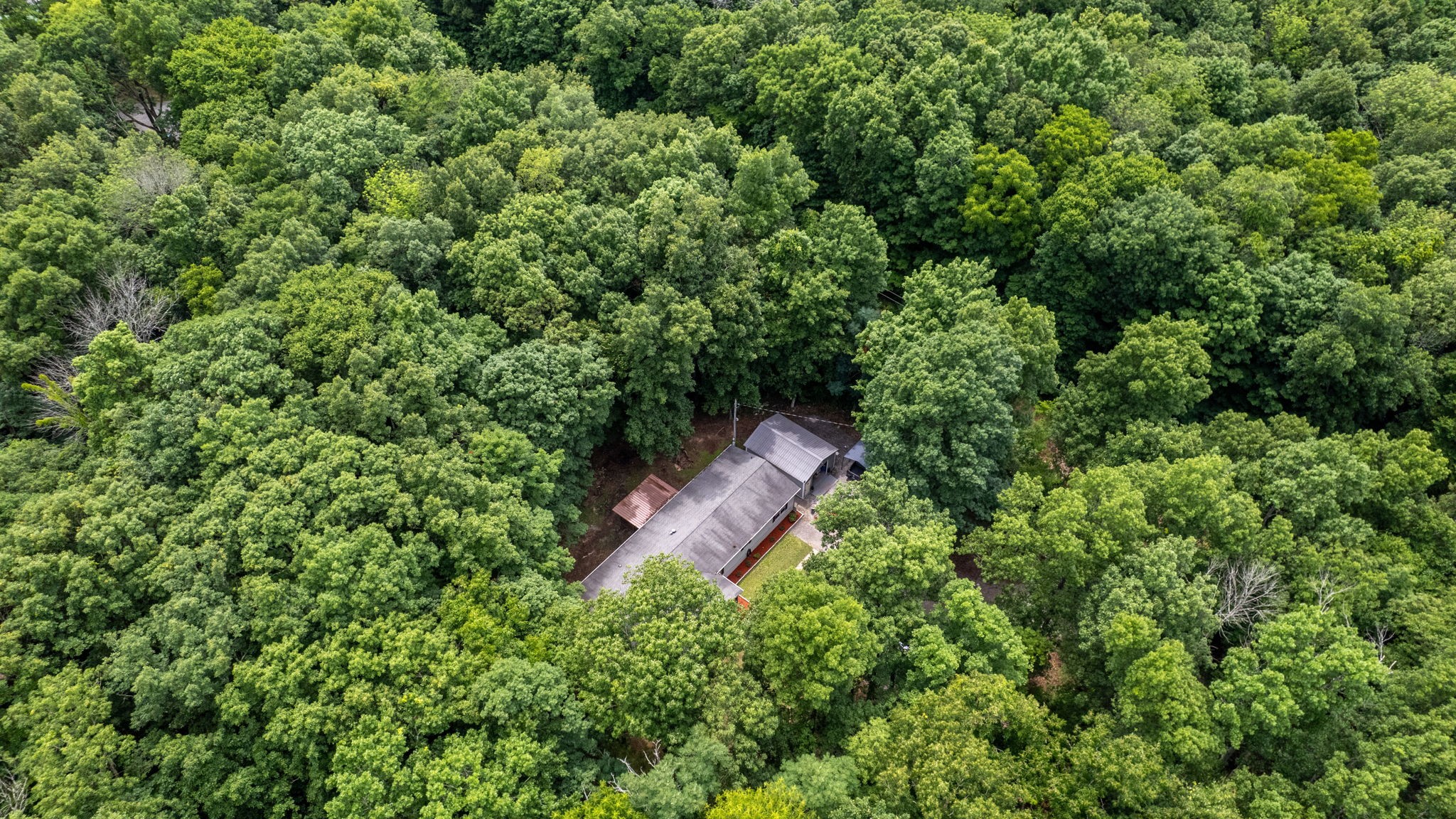 3398 Poplar Hill Road Watertown, TN 37184 - Photo 51 of 62