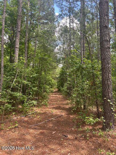 0 Saintsville Road Greenville, NC 27834 - Photo 2 of 6 Saintsville 1