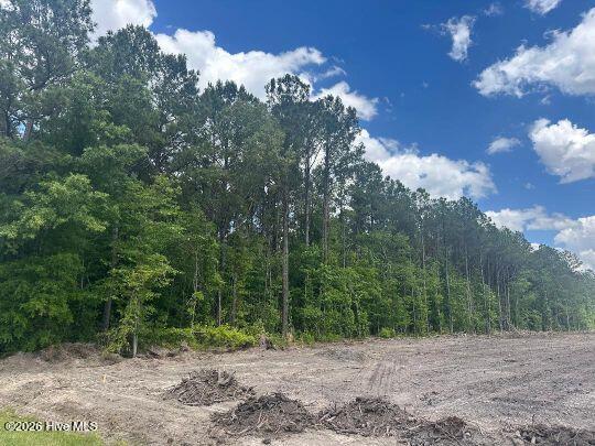 0 Saintsville Road Greenville, NC 27834 - Photo 5 of 6 Saintsville4