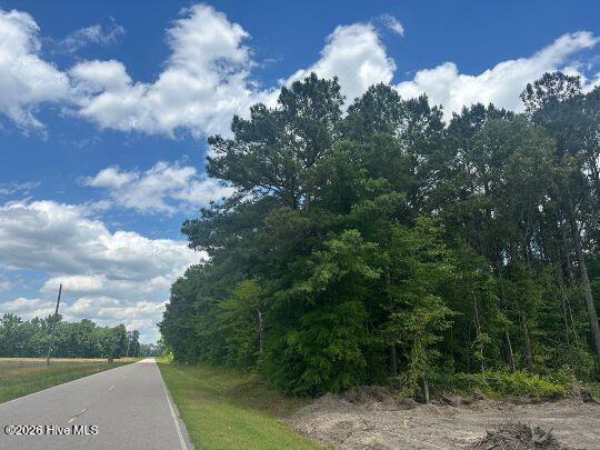 0 Saintsville Road Greenville, NC 27834 - Photo 6 of 6 Saintsville5