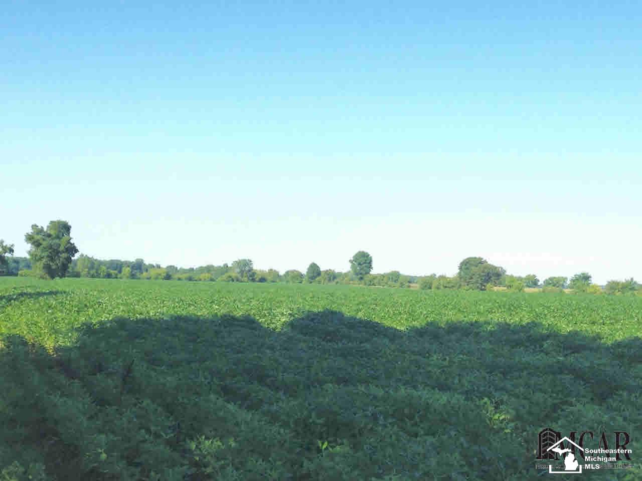 7696 North Custer Road Monroe, MI 48162 - Photo 2 of 8 21199505-1.JPG
