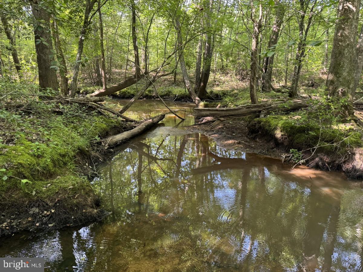 0 Benton Road Lawrenceville, VA 23868 - Photo 17 of 24 a view of lake