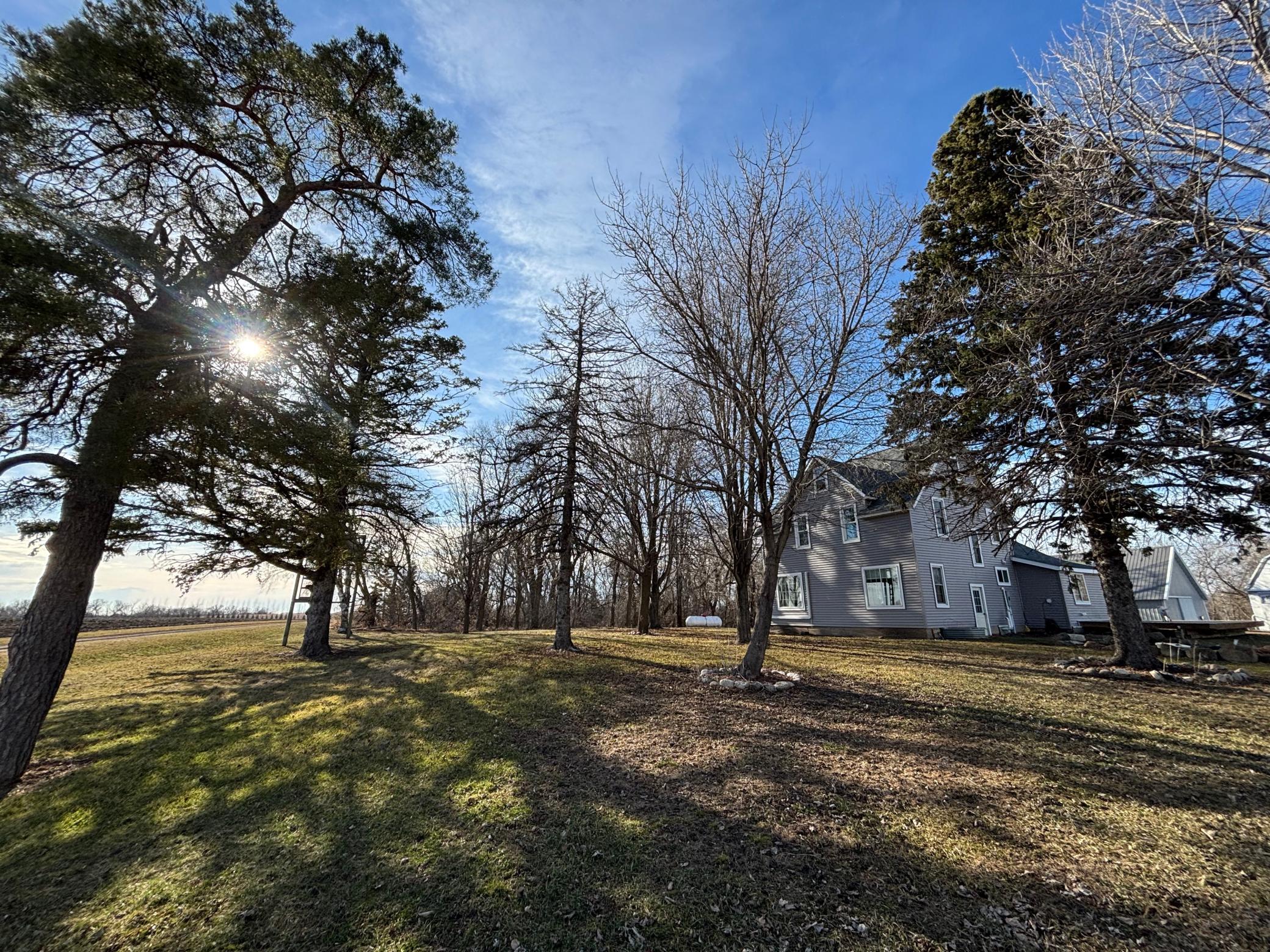 20362 370th Avenue Cyrus, MN 56323 - Photo 5 of 47