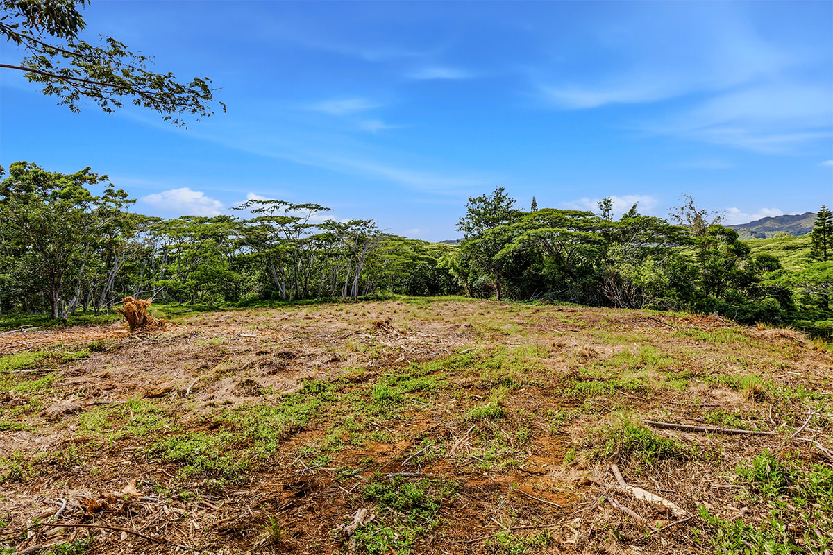 3310 Wawae Road Kalaheo, HI 96741 - Photo 4 of 30