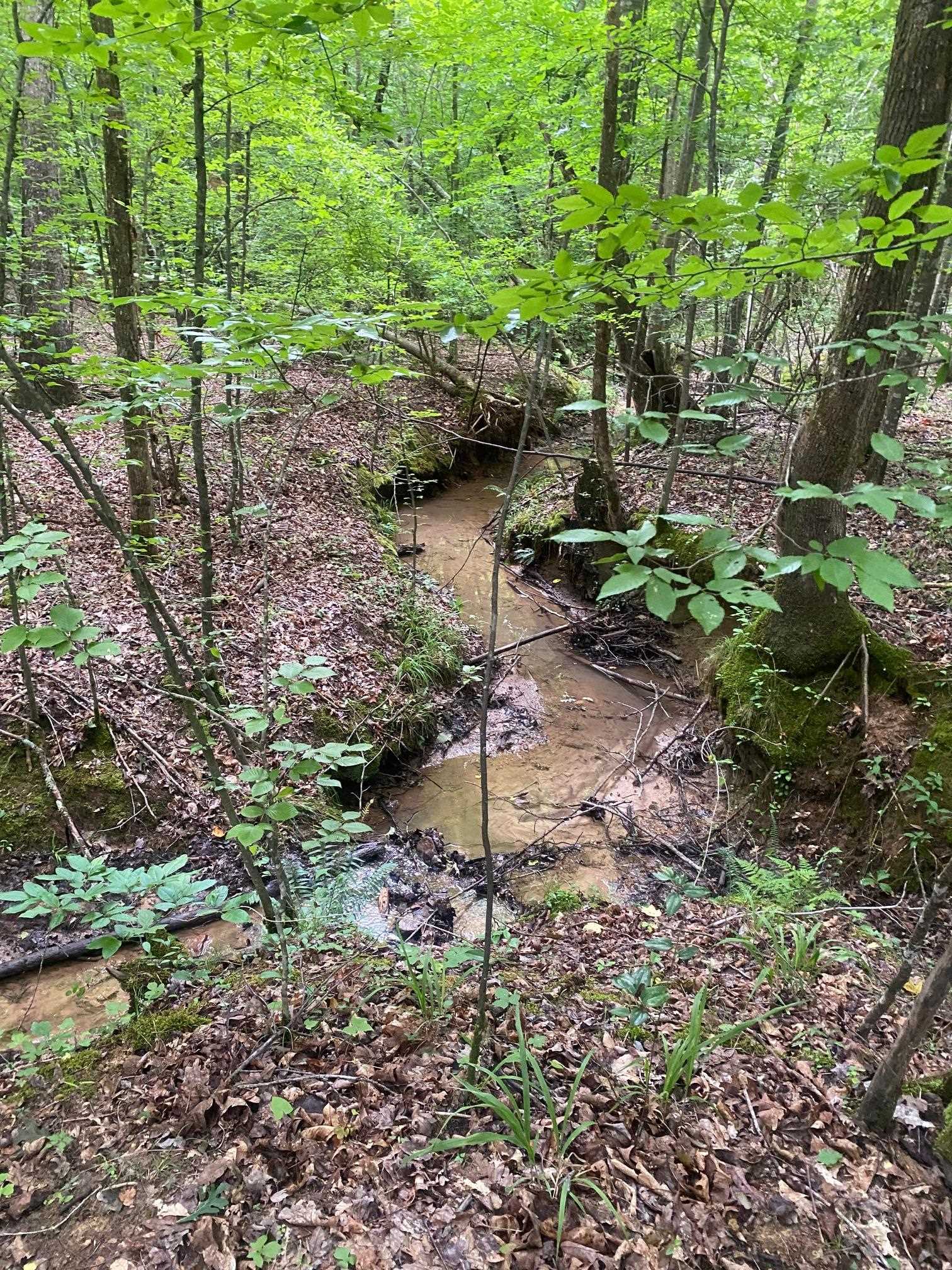 Purdy-Beauty Hill Road Selmer, TN 38375 - Photo 4 of 15 a backyard of a house with a yard and outdoor seating