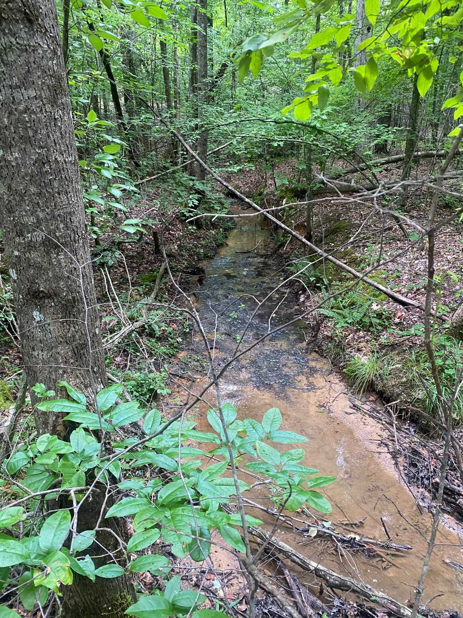 Purdy-Beauty Hill Road Selmer, TN 38375 - Photo 10 of 15 a backyard of a house with lots of green space