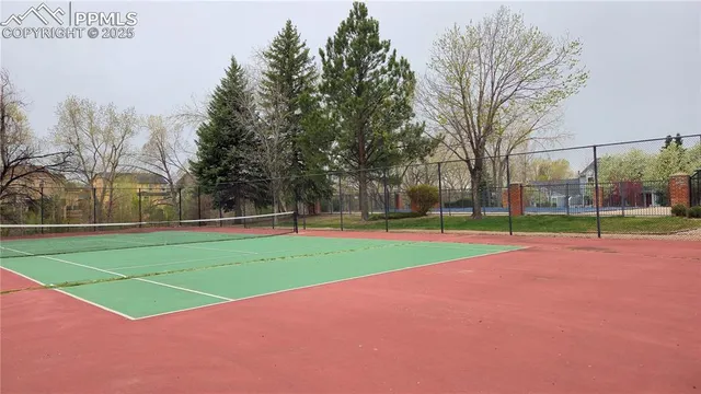 a view of a park with large trees