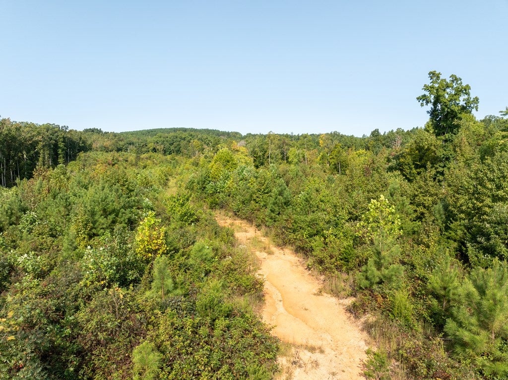 Schultz Mill Road Meherrin, VA 23954 - Photo 9 of 16 Gallery Image 9
