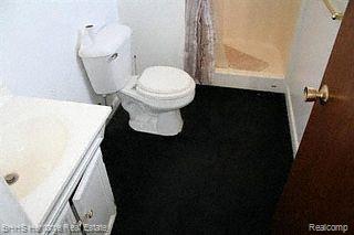 9855 West Coon Lake Road Gregory, MI 48137 - Photo 12 of 24 Bathroom