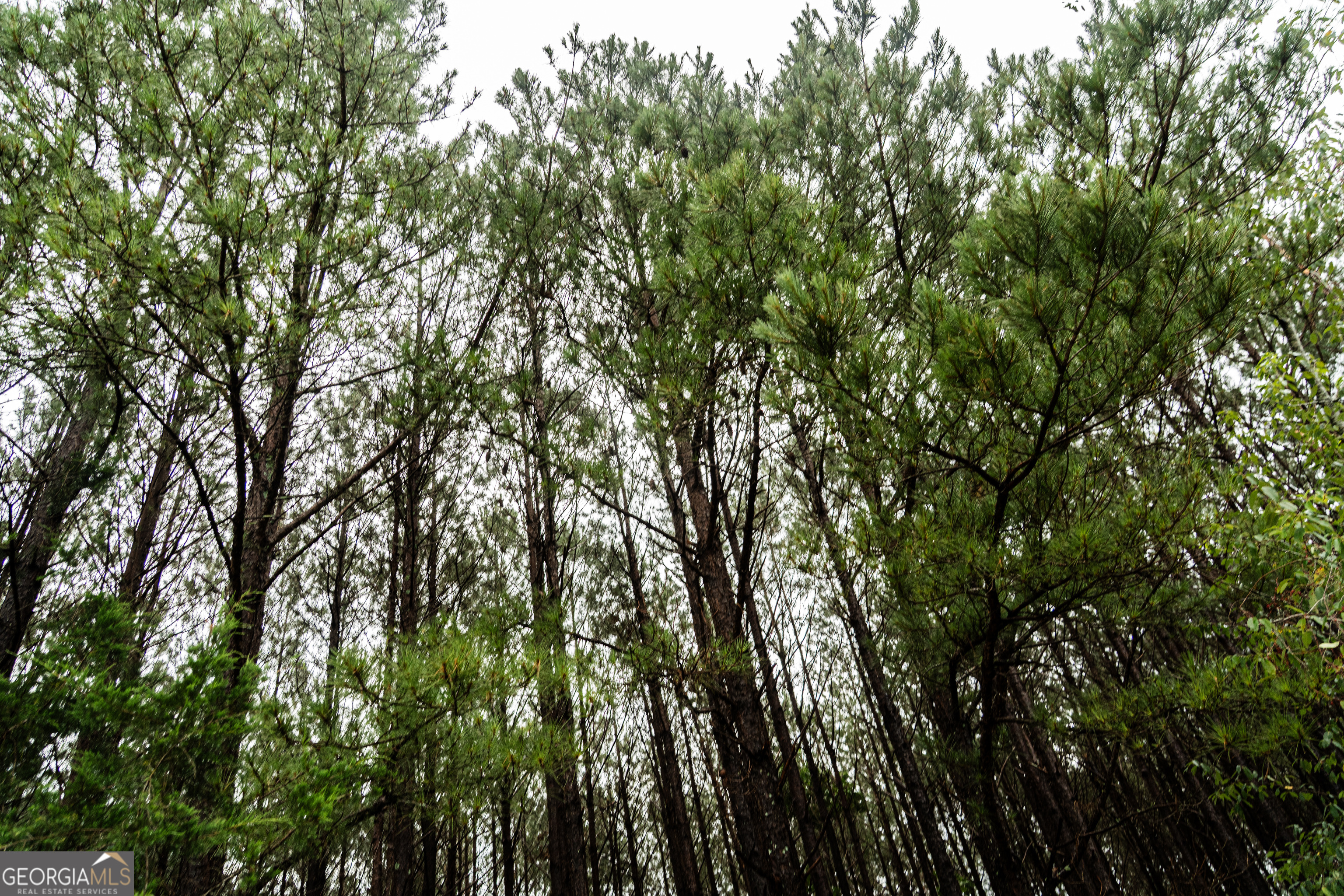990 Highway 49 Americus, GA 31719 - Photo 44 of 121