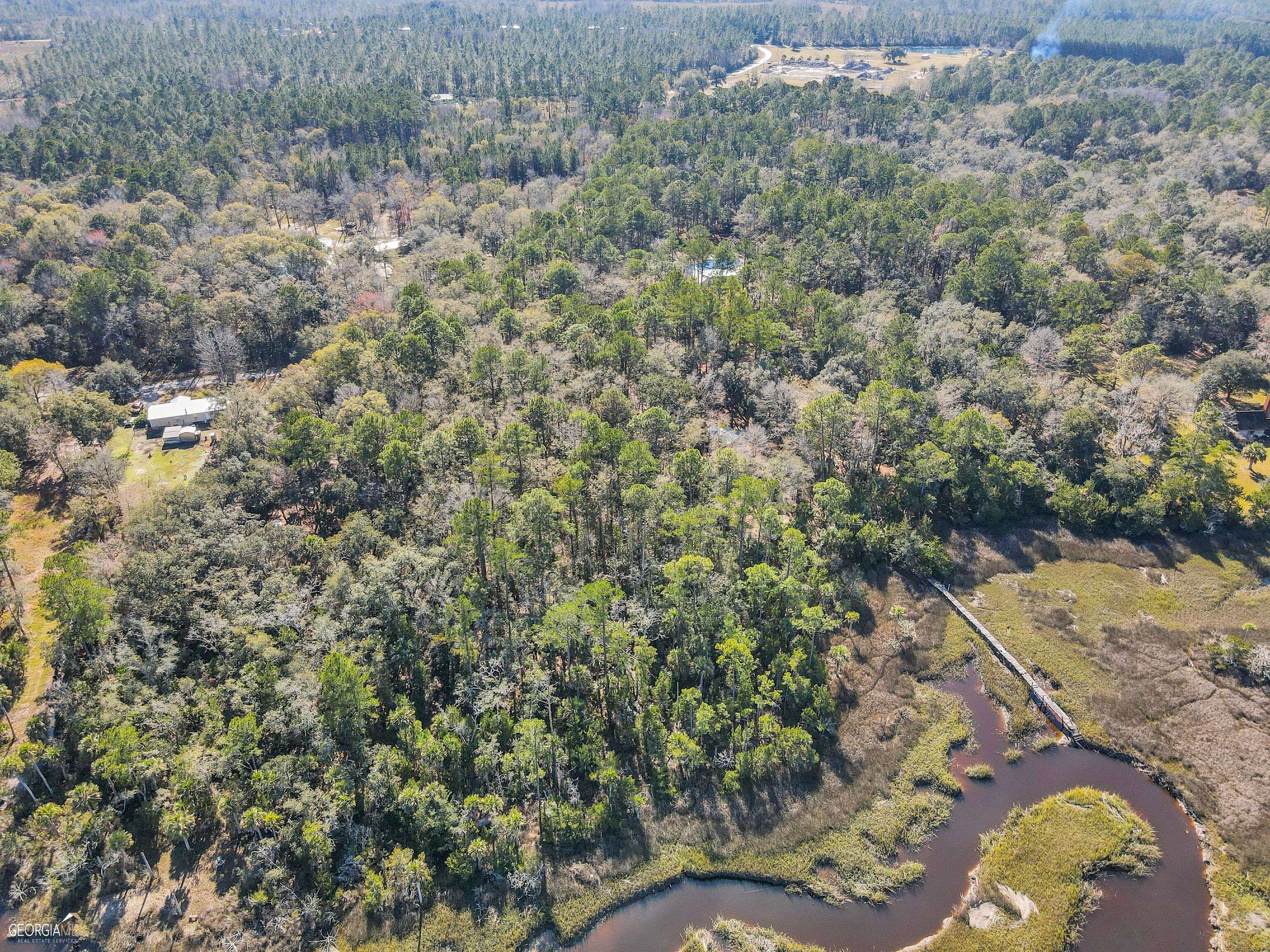 1861 Timber Landing Road Brunswick, GA 31523 - Photo 1 of 1 a view of a yard with a tree
