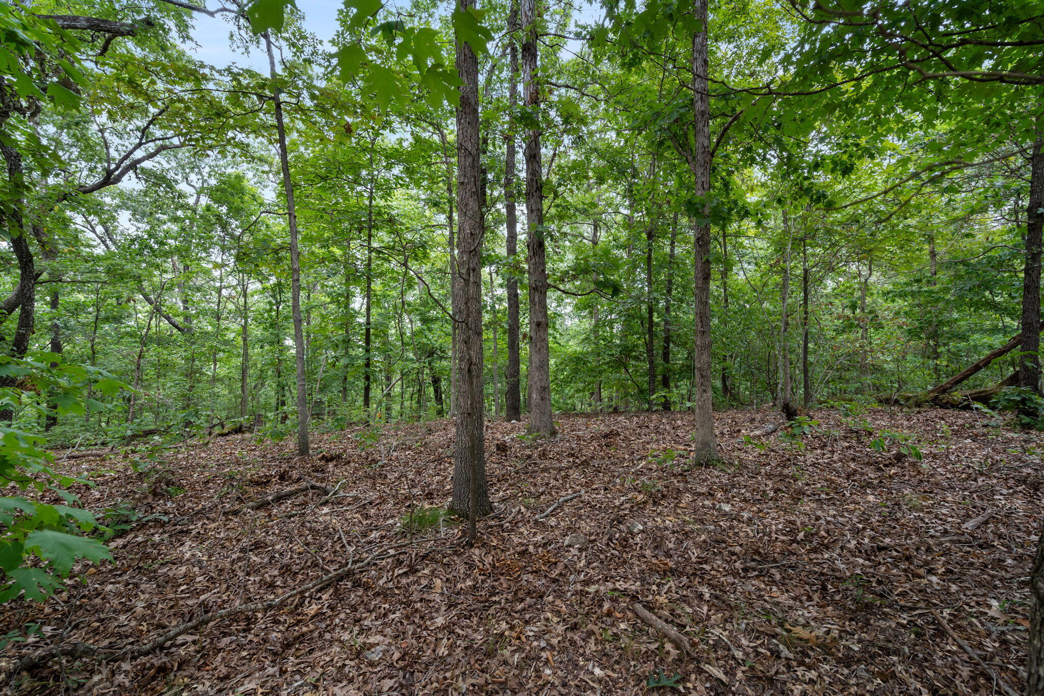 76 Branson Mo 65616 Reeds Spring, MO 65737 - Photo 18 of 38 Tbd-Old-Rte-76-Wide-Open-Land