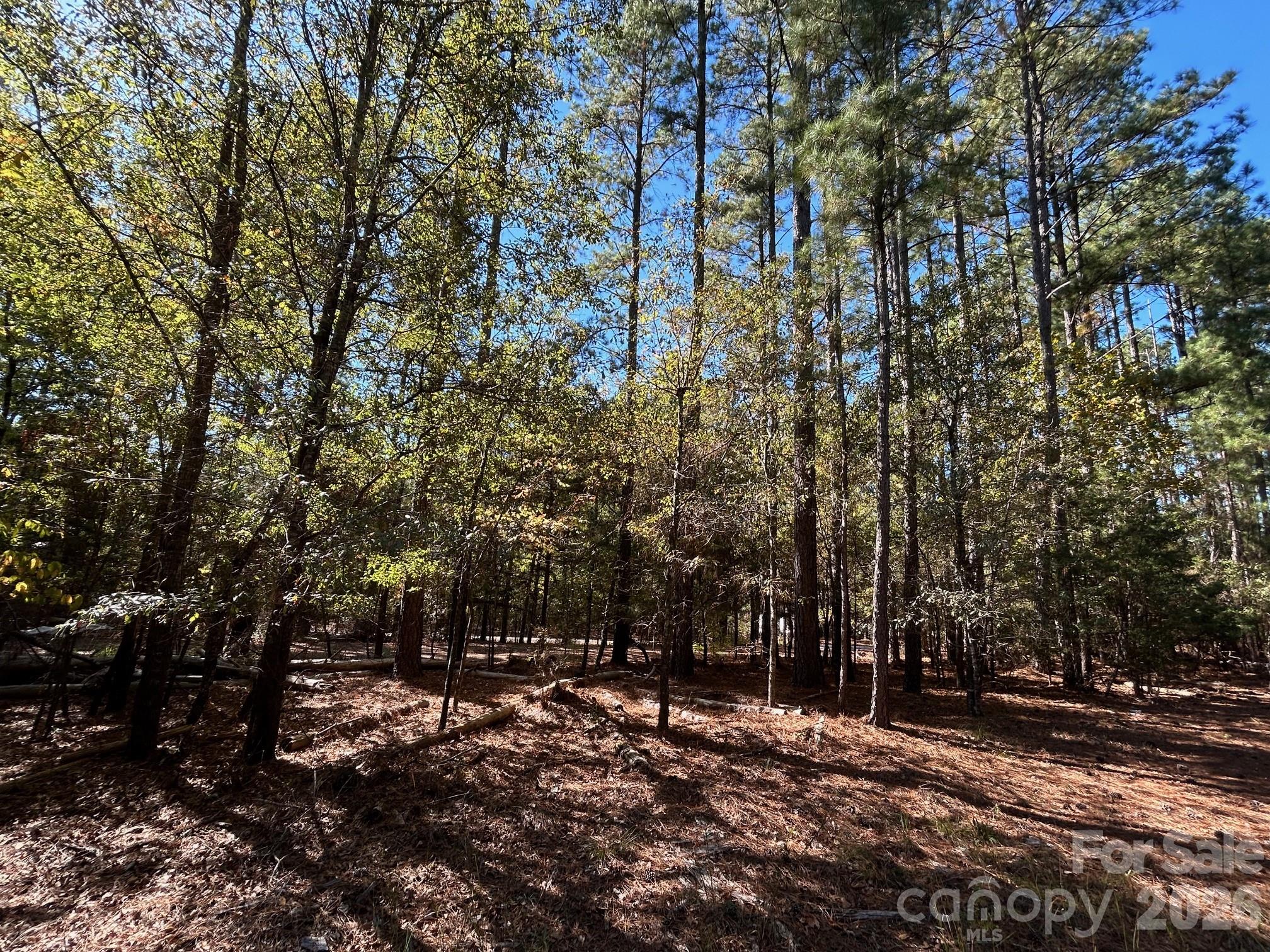 5-ac 5-ac Ernandez Road Richburg, SC 29729 - Photo 11 of 41 a view of a forest with trees