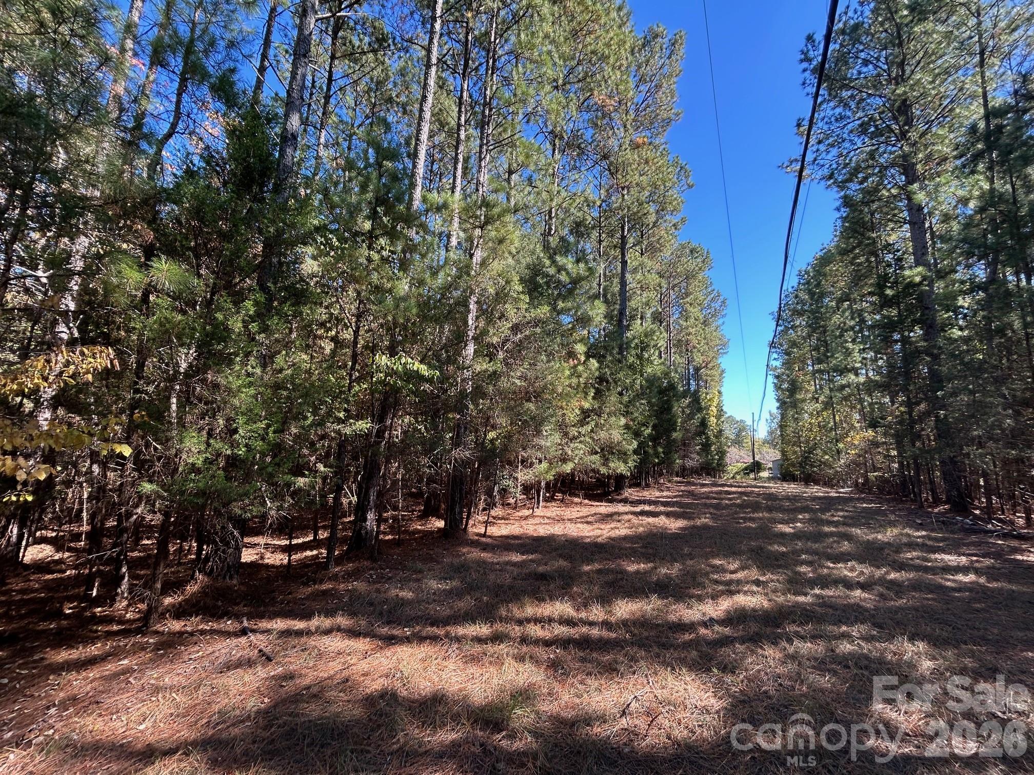 5-ac 5-ac Ernandez Road Richburg, SC 29729 - Photo 13 of 41 a view of outdoor space with trees