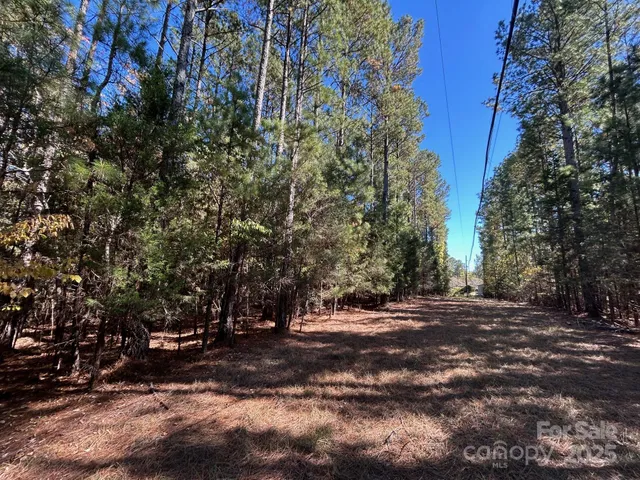 a view of a yard with plants and trees
