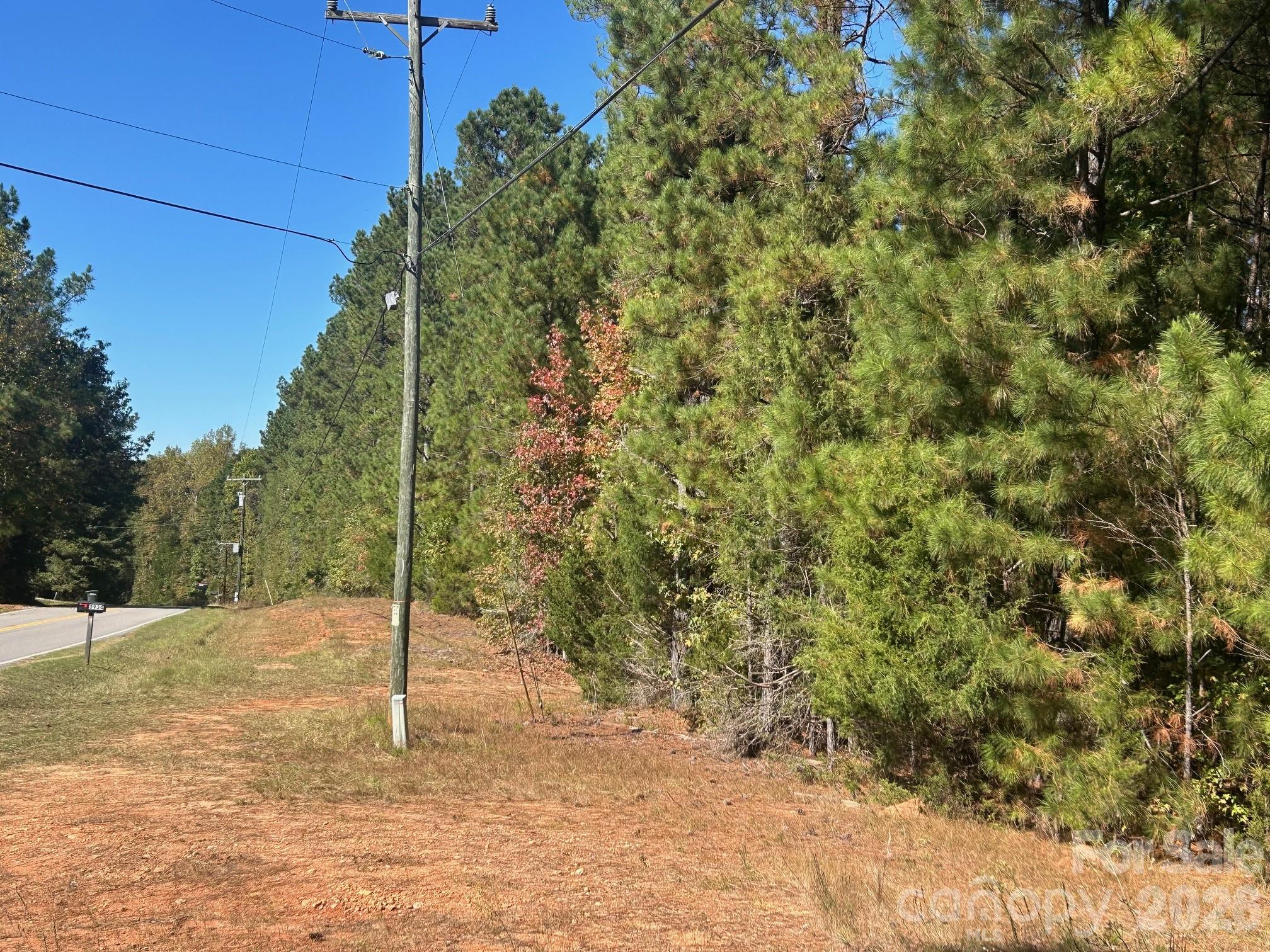 5-ac 5-ac Ernandez Road Richburg, SC 29729 - Photo 15 of 41 a view of a tree in a yard