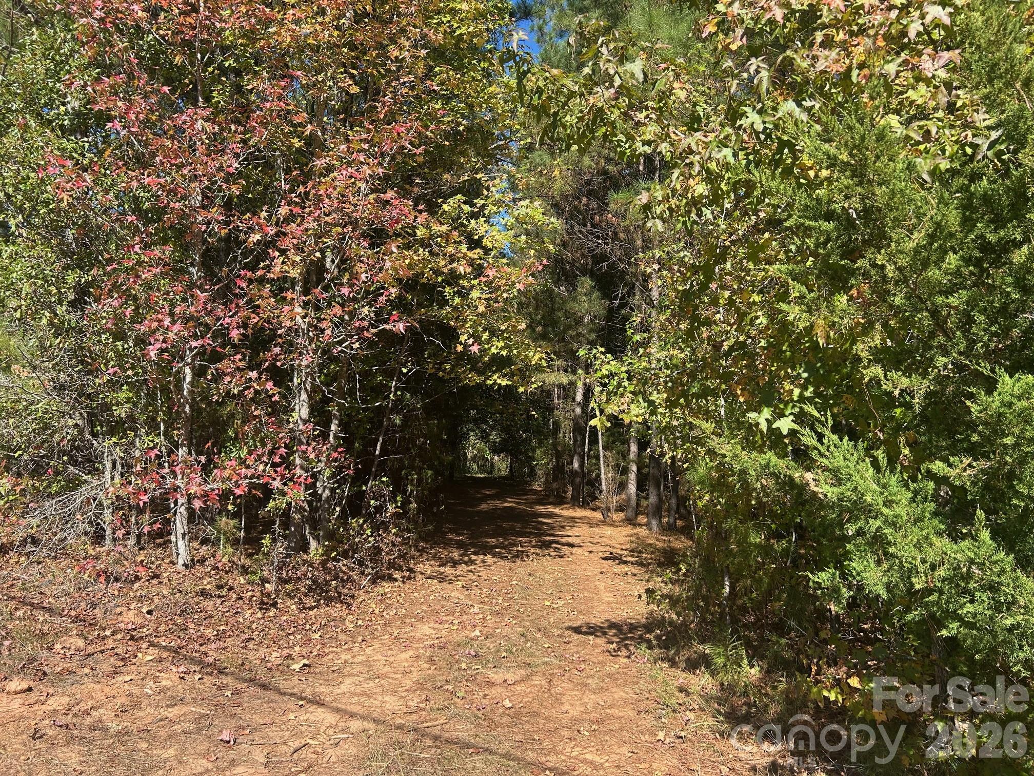 5-ac 5-ac Ernandez Road Richburg, SC 29729 - Photo 16 of 41 a view of outdoor space and trees