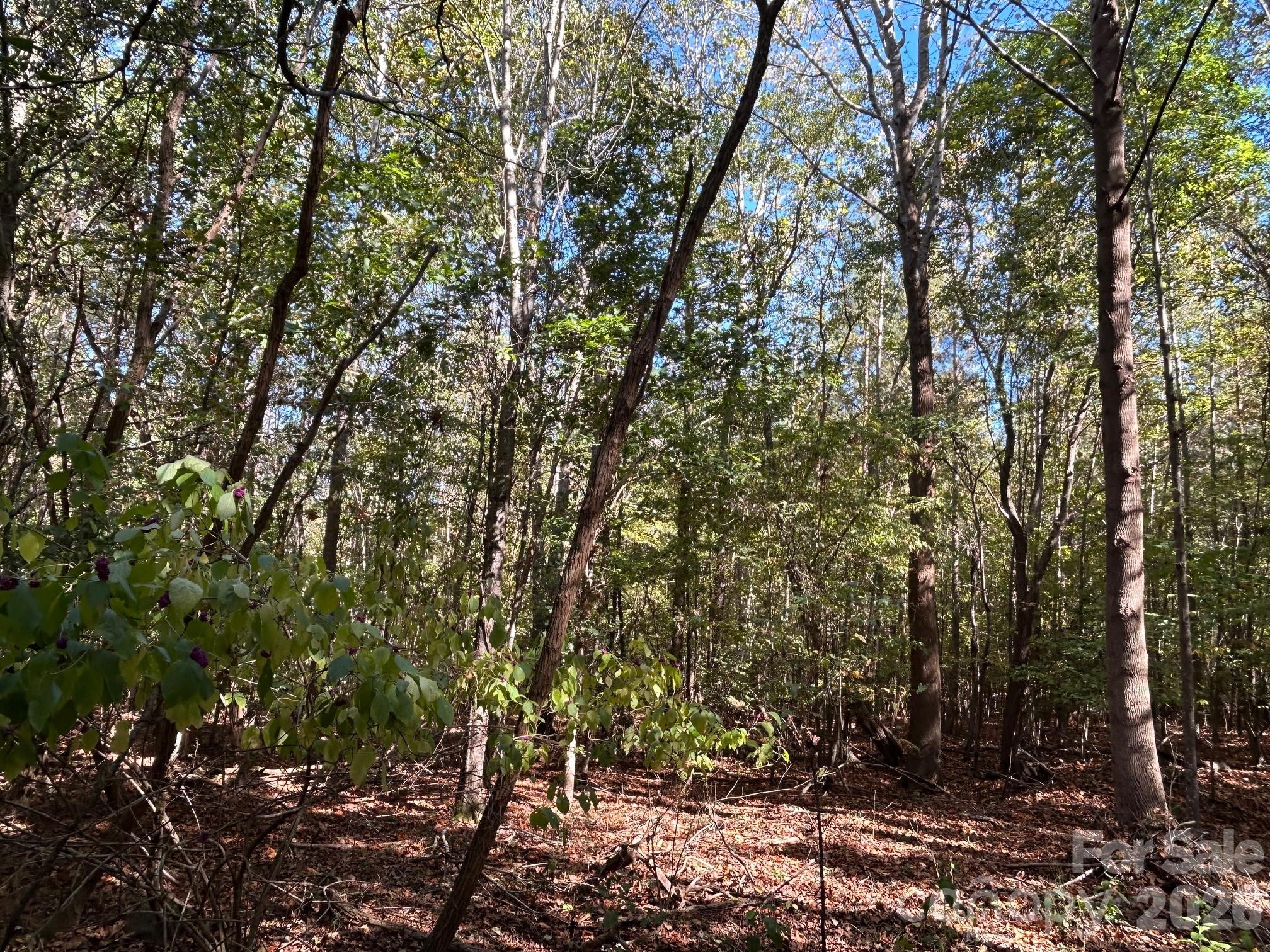 5-ac 5-ac Ernandez Road Richburg, SC 29729 - Photo 21 of 41 a view of a yard