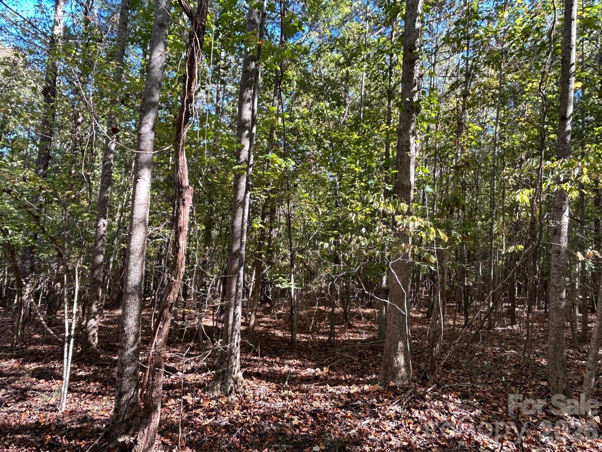 5-ac 5-ac Ernandez Road Richburg, SC 29729 - Photo 24 of 41 a view of a yard