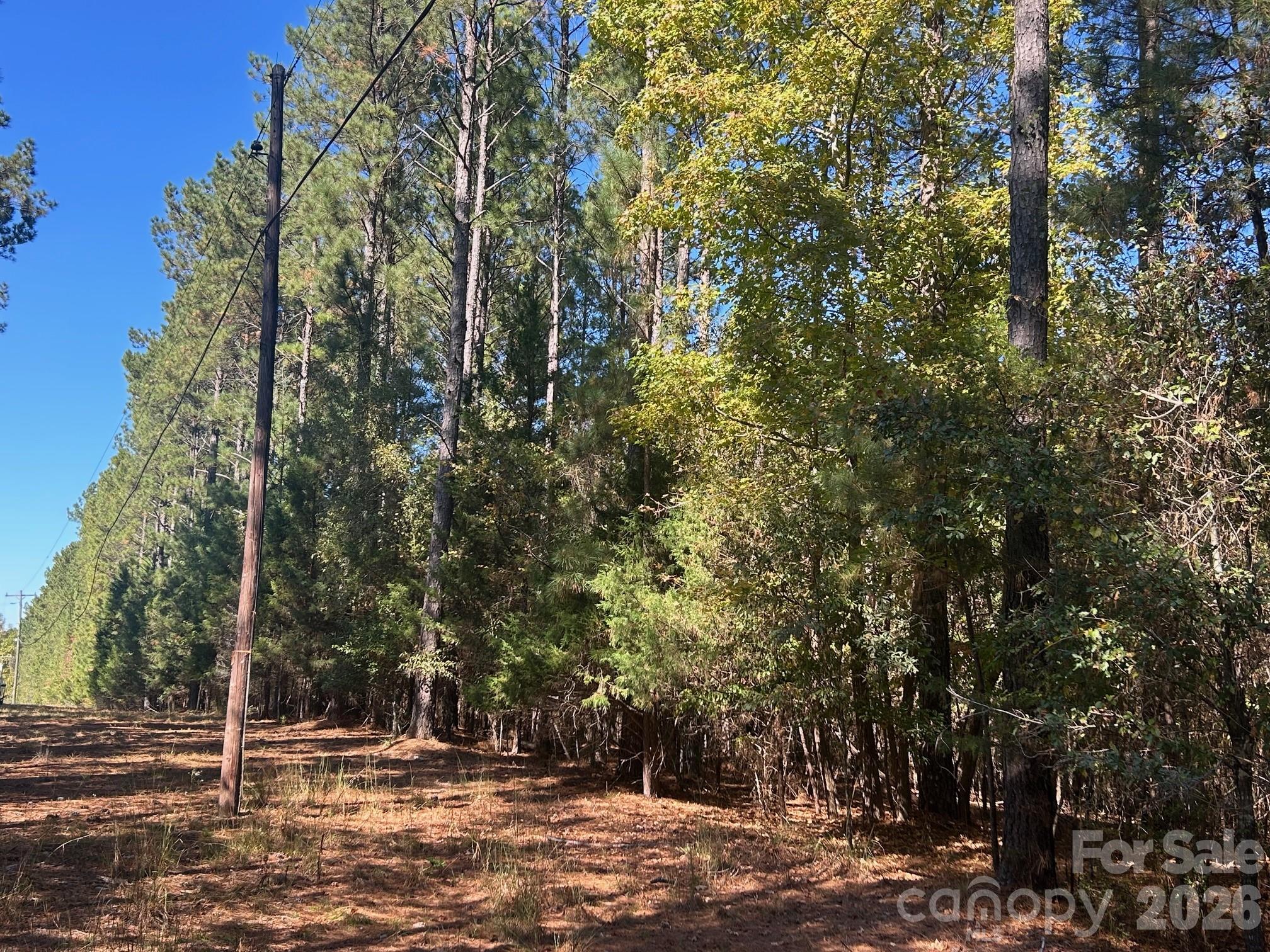 5-ac 5-ac Ernandez Road Richburg, SC 29729 - Photo 9 of 41 a view of a yard
