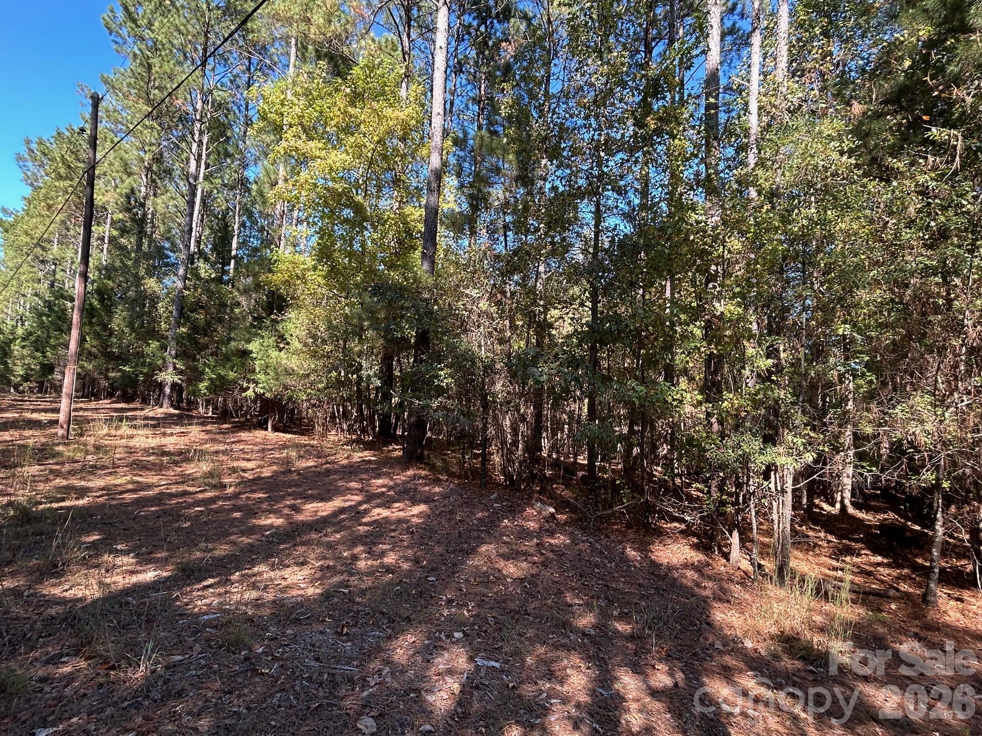 5-ac 5-ac Ernandez Road Richburg, SC 29729 - Photo 10 of 41 a view of a forest with trees