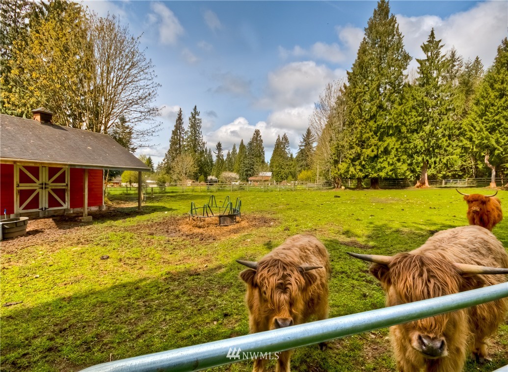 929 Newberg Road Snohomish, WA 98290 - Photo 7 of 25 Gallery Image 7