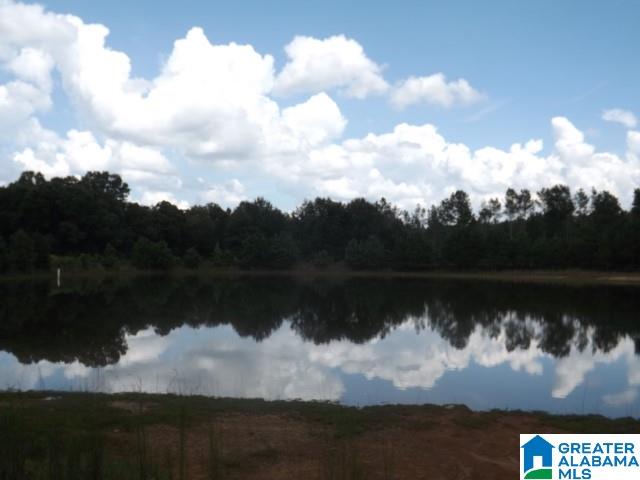435 Wow Road, Unit 59 Blountsville, AL 35031 - Photo 27 of 49