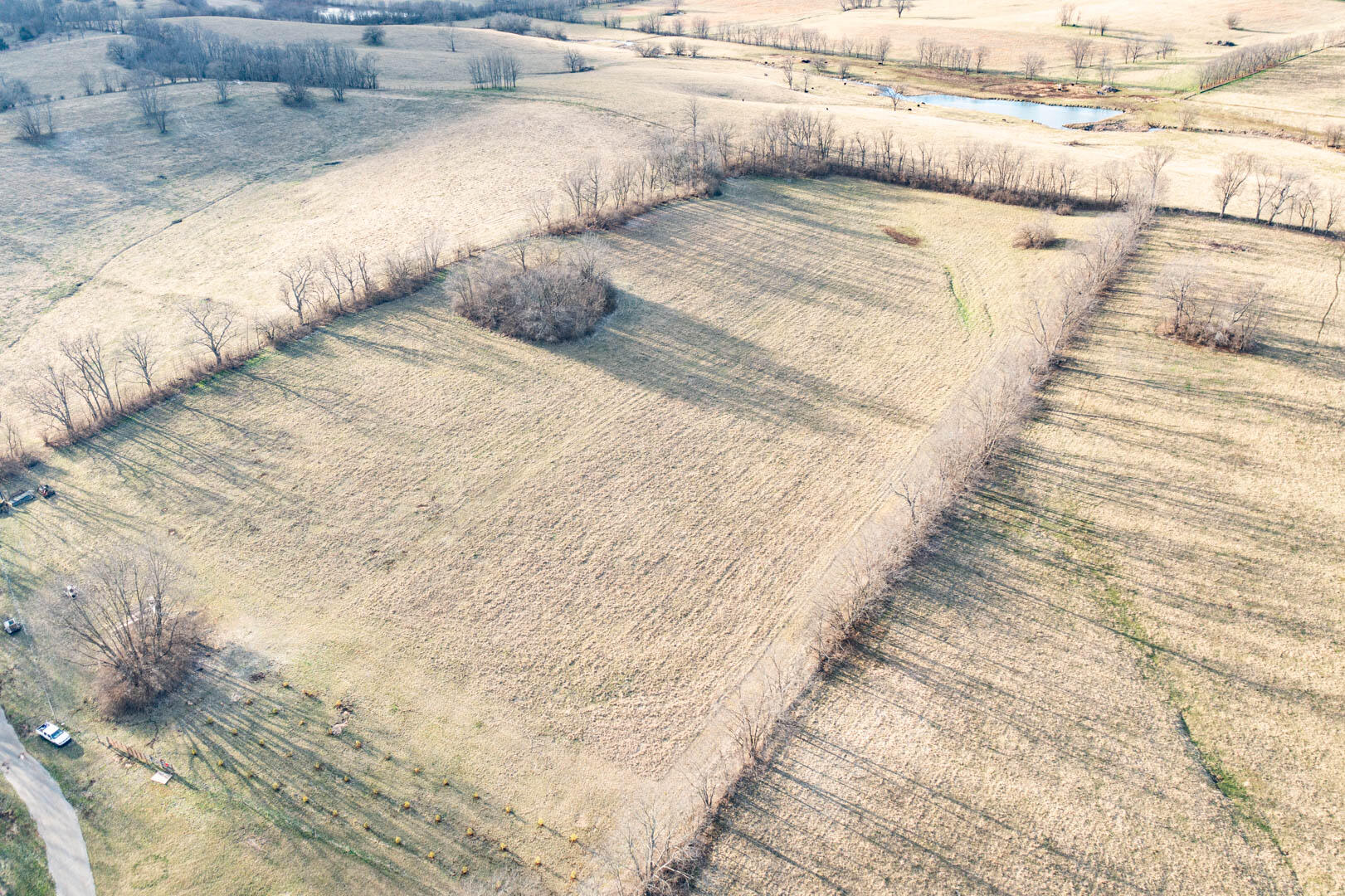 695 Stone Road Paris, KY 40361 - Photo 35 of 38 DJI_0906