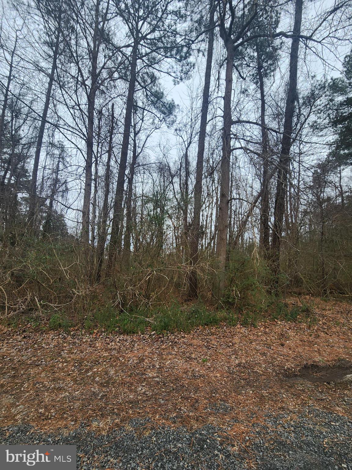 Landsend West Lancaster, VA 22503 - Photo 2 of 3