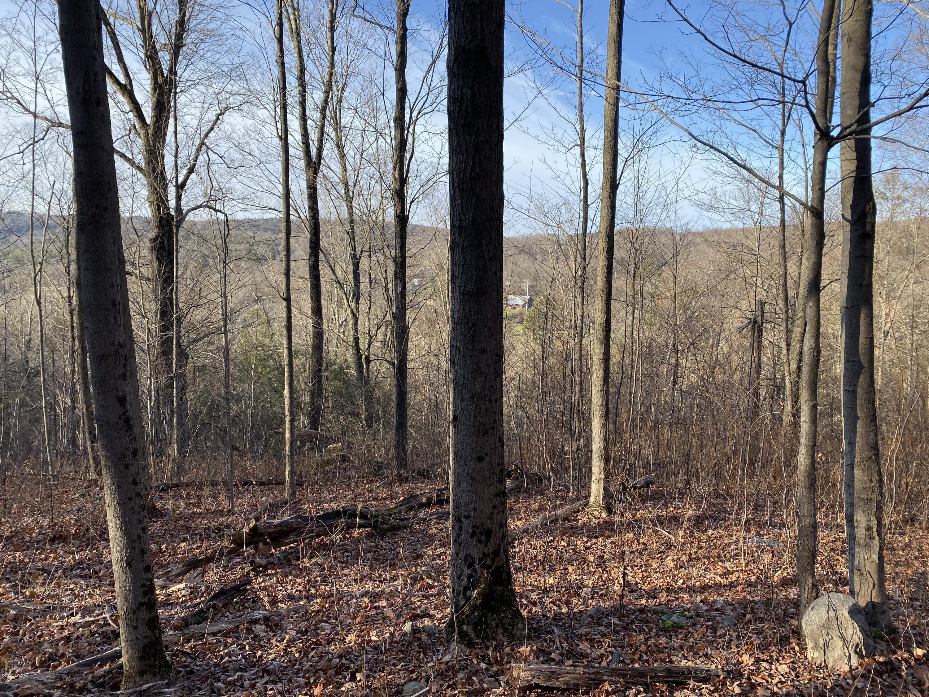 Mountain View Road Newfoundland, PA 18445 - Photo 11 of 15