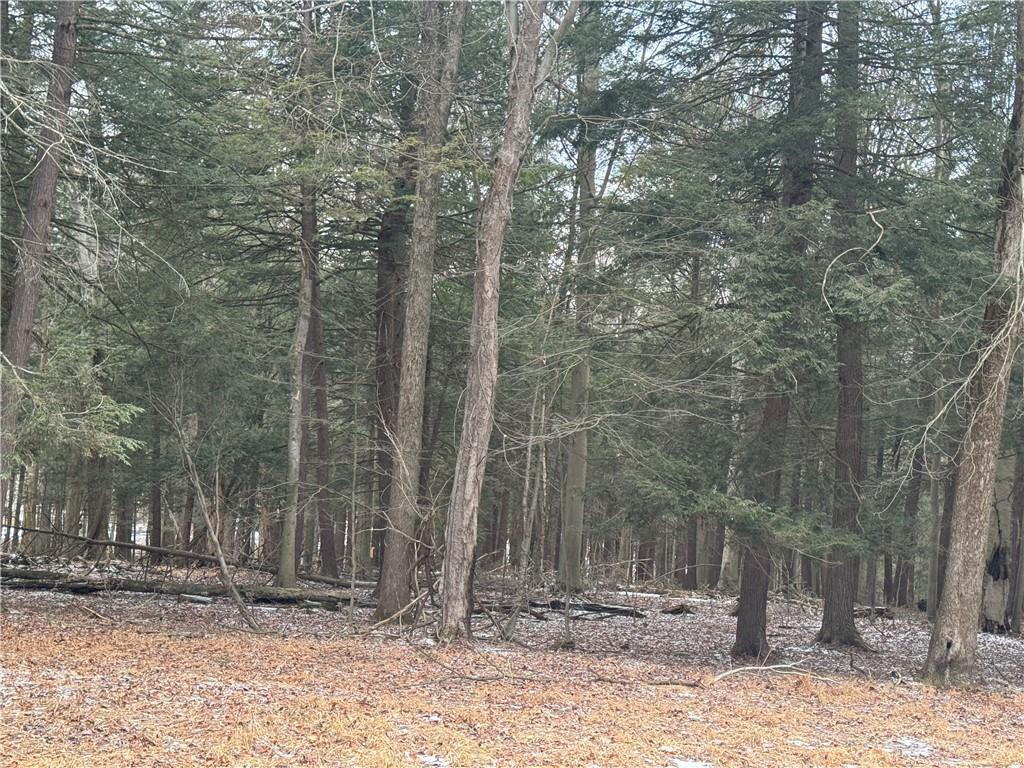 T-190-and T191 Christopher Road Flinton, PA 16640 - Photo 1 of 8 a view of a covered with trees