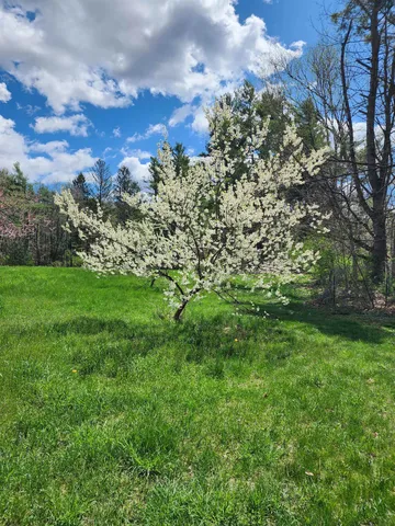 $579,900 | 126 Simeon Dean Road, Shaftsbury, VT 05262